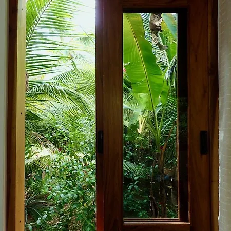 Casa Salvaje Vacation Rentals Bocas Town Exterior photo