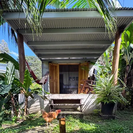 Casa Salvaje Vacation Rentals Bocas Town Exterior photo